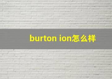 burton ion怎么样